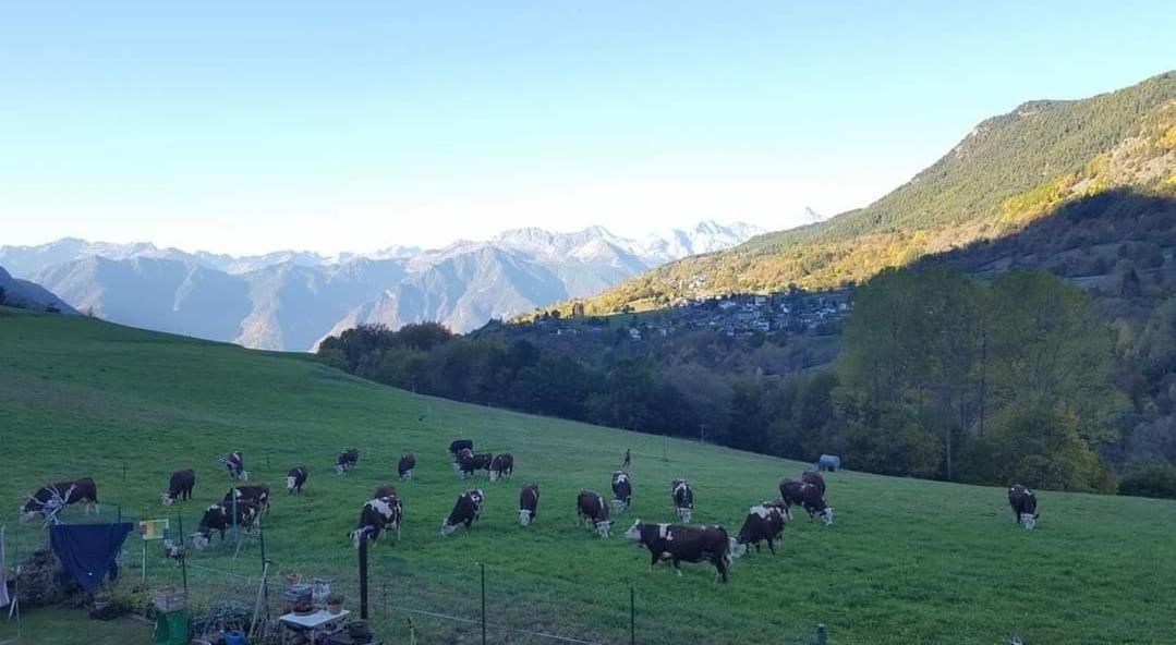 Casa Indipendente Val D'ayas - Saint Anselme Ferienhaus